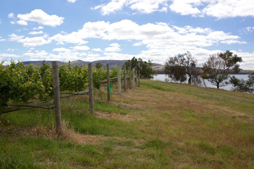 Holiday park Riversdale Estate 3*